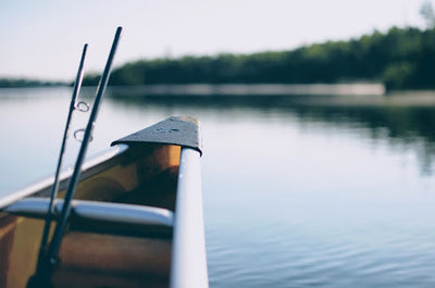 4 Best Cigars for Fishing