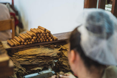 How to Hand-Roll a Cigar with Instructional Video