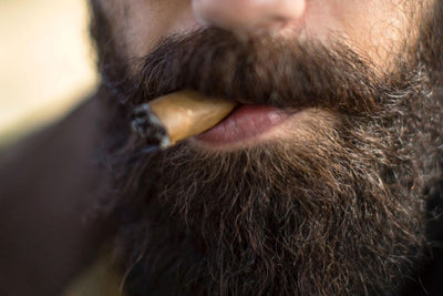 50 Reasons to Smoke a Cigar