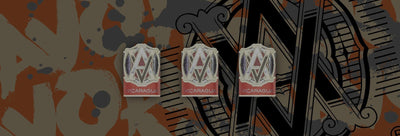 AVO Syncro Nicaragua Banner