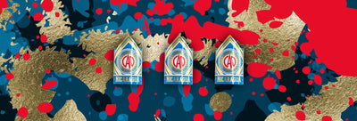 CAO Nicaragua Banner