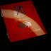 Opus6 ForbiddenX Travel Humidor and Cigars