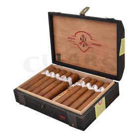 Adventura The Explorer Gordo Open Box Angled