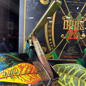 Arturo Fuente OpusX 25 Perfecto Single in Coffin