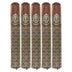 Asylum 867 Midnight Oil 7x70 Gordo 5 Pack