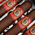 Asylum Year of the Snake April Fools 9x90 Gordo Closeup of Cigar Band