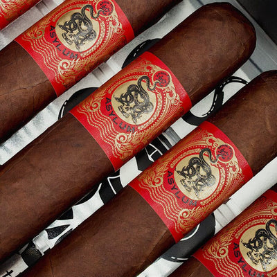 Asylum Year of the Snake April Fools 9x90 Gordo Closeup of Cigar Band