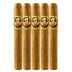 Baccarat Nicaragua Petit Corona 5 Pack