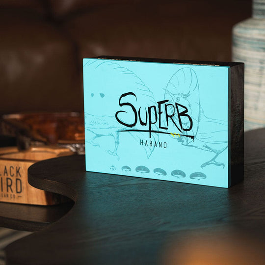 Blackbird Superb Robusto Gordo