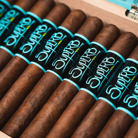 Blackbird Superb Robusto Gordo Closeup of Band