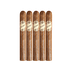 Brick House Natural Corona 5 Pack