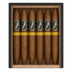 Davidoff Puro Dominicano Perfecto Open Box