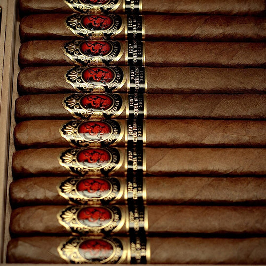 GOF KKP Special Reserve Toro Extra 54