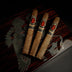 God of Fire KKP Special Reserve Toro Extra 54 3 Cigars on Humidor
