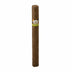 Tatiana Classic Caribbean Chill Single