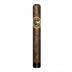 Outcast Corona Gorda