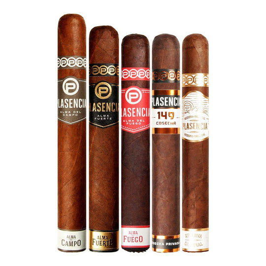 Plasencia Fab 5 Toro Sampler