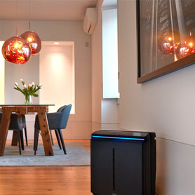 Drew Estate Undercrown 10 Rabbit Air A3 Ultra Quiet Air Purifier in Living Room
