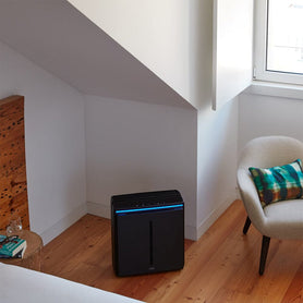 Drew Estate Undercrown 10 Rabbit Air A3 Ultra Quiet Air Purifier in Bedroom
