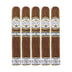 Rocky Patel Dark Star Sixty Gordo 5 Pack