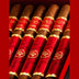 Rocky Patel Year of the Sake LE 2025 Closeup