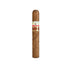 Tatuaje PCA 2025 Limited Edition Robusto