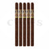 Trinidad Espiritu Series No.3 Fundador 5 Pack
