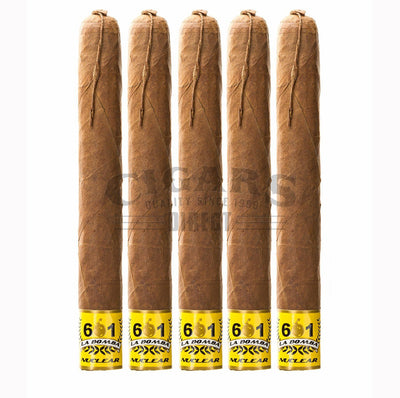 601 La Bomba Nuclear 5 Pack