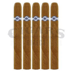 Warped El Oso Blanco Papa Corona Gorda 5 Pack