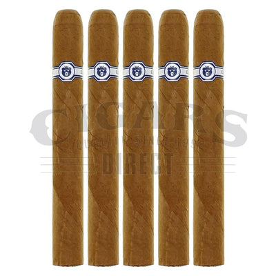 Warped El Oso Blanco Papa Corona Gorda 5 Pack