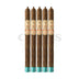 My Father La Gran Oferta Lancero 5 Pack