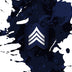 Ace Prime The Sergeant Robusto Band
