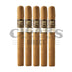 Aging Room Core Connecticut Andante 5 Pack