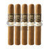 Aging Room Core Connecticut Rapido 5 Pack