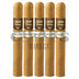 Aging Room Core Connecticut Vivase 5 Pack