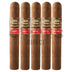 Aging Room Core Maduro Major 5 Pack
