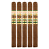 AJ Fernandez New World Cameroon Churchill 5 Pack