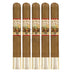 AJ Fernandez New World Connecticut Corona Gorda 5 Pack