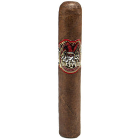 AJ Fernandez Viva La Vida Toro Single