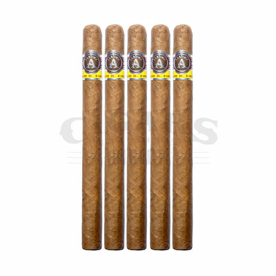 JRE 1947 Aladino 1961 Corojo Elegante Lancero 5 Pack