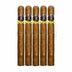 JRE 1947 Aladino 1961 Corojo Palmas Lonsdale 5 Pack