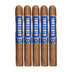 Alec & Bradley Kintsugi Corona Gorda 5 Pack