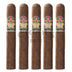 Alec Bradley American Sungrown Blend Gordo 5 Pack