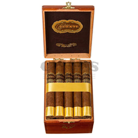 Arturo Fuente Casa Fuente Series 5 807 Double Robusto Box Open