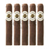 Ashton Aged Maduro No10 5 Pack 