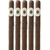 Ashton Aged Maduro No50 5 Pack 