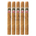 Ashton Cabinet Series No8 5 Pack 