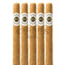 Ashton Classic Corona 5 Pack 