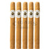 Ashton Classic Prime Minister 5 Pack 