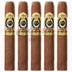 Ashton Esg 21 Year Robusto 5 Pack 